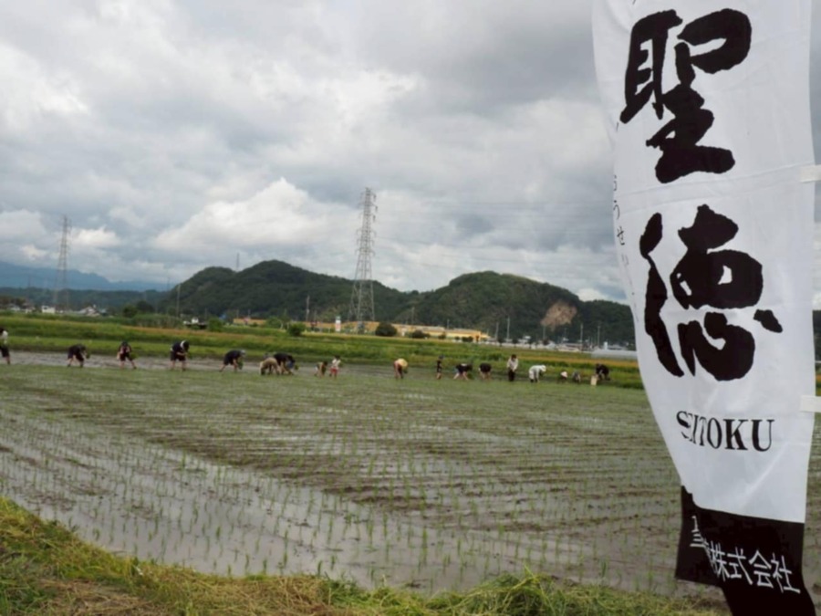 甘楽の地酒プロジェクト(甘楽niひとめぼれ&かすみ)